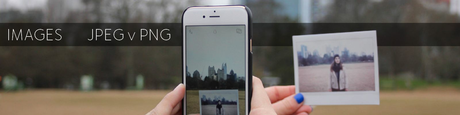 exploring the differences between image formats png and jpg